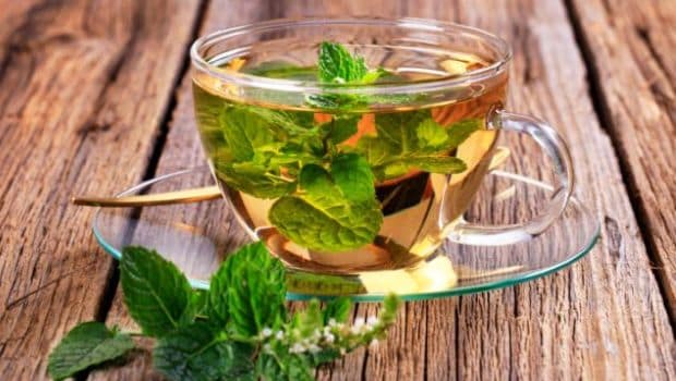 Mint Green Tea Recipe